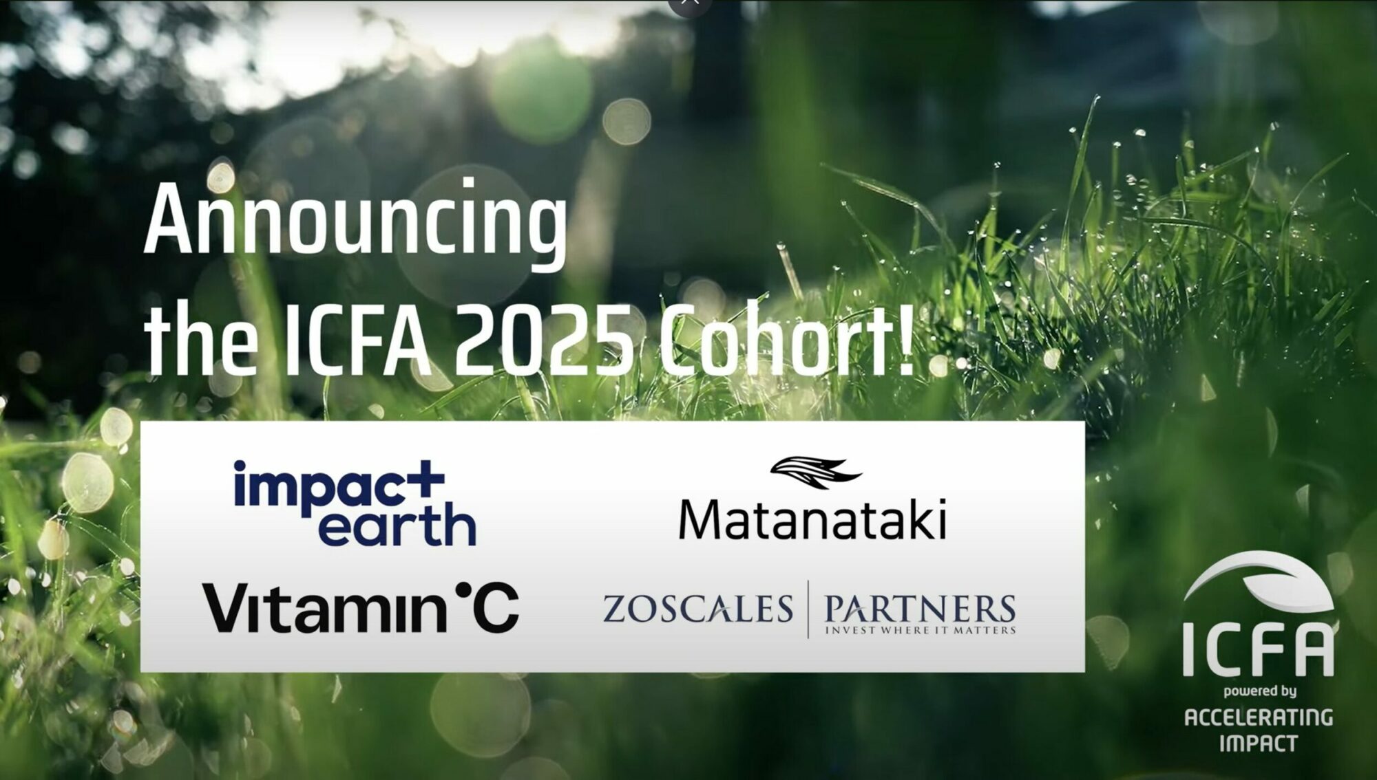 Announcing the ICFA 2025 Cohort! Impact earth, Matanataki, Vitamin C and Zoscales are selected!